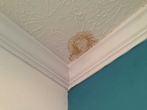 Leaky Chimney - Nashville TN - Ashbusters Chimney Service Leaky Chimney - Nashville TN - Ashbusters Chimney Service