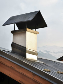Keeping Animals Out of Your Chimney - Nashville TN - Ashbusters Chimney Service