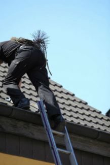 sweep climbing on ladder onto roof