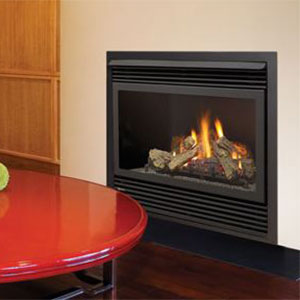 Regency Panorama® P36D Medium Gas Fireplace