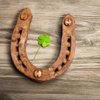 a horseshoe on a piece of wood with a clover in the middle